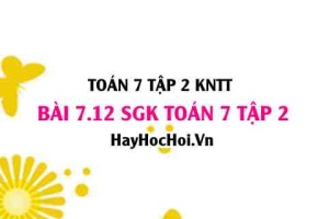 Bài 7.12 SGK Toán 7 tập 2 Kết nối tri thức
